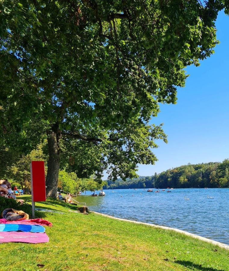 Ferienwohnung Rheinblick In Buesingen -Keine Monteure- Busingen Zewnętrze zdjęcie