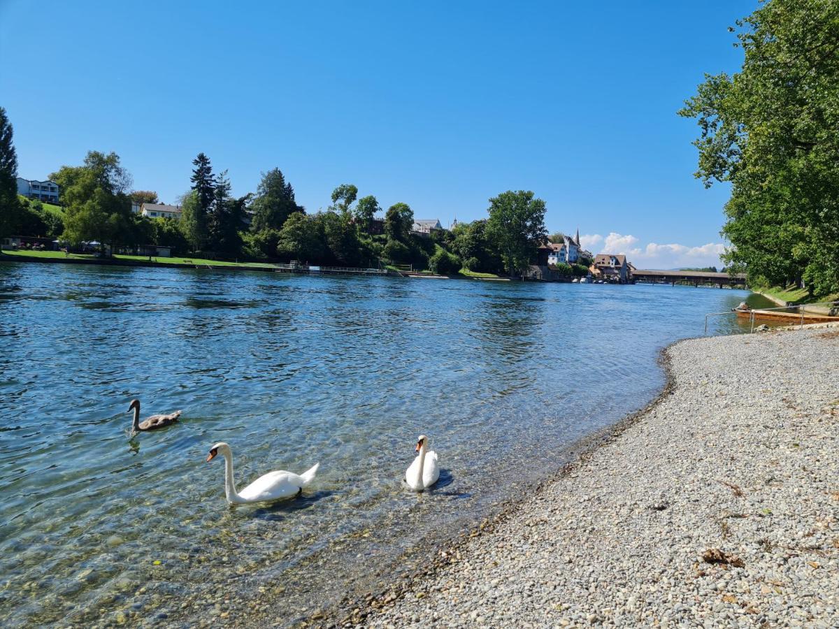 Ferienwohnung Rheinblick In Buesingen -Keine Monteure- Busingen Zewnętrze zdjęcie