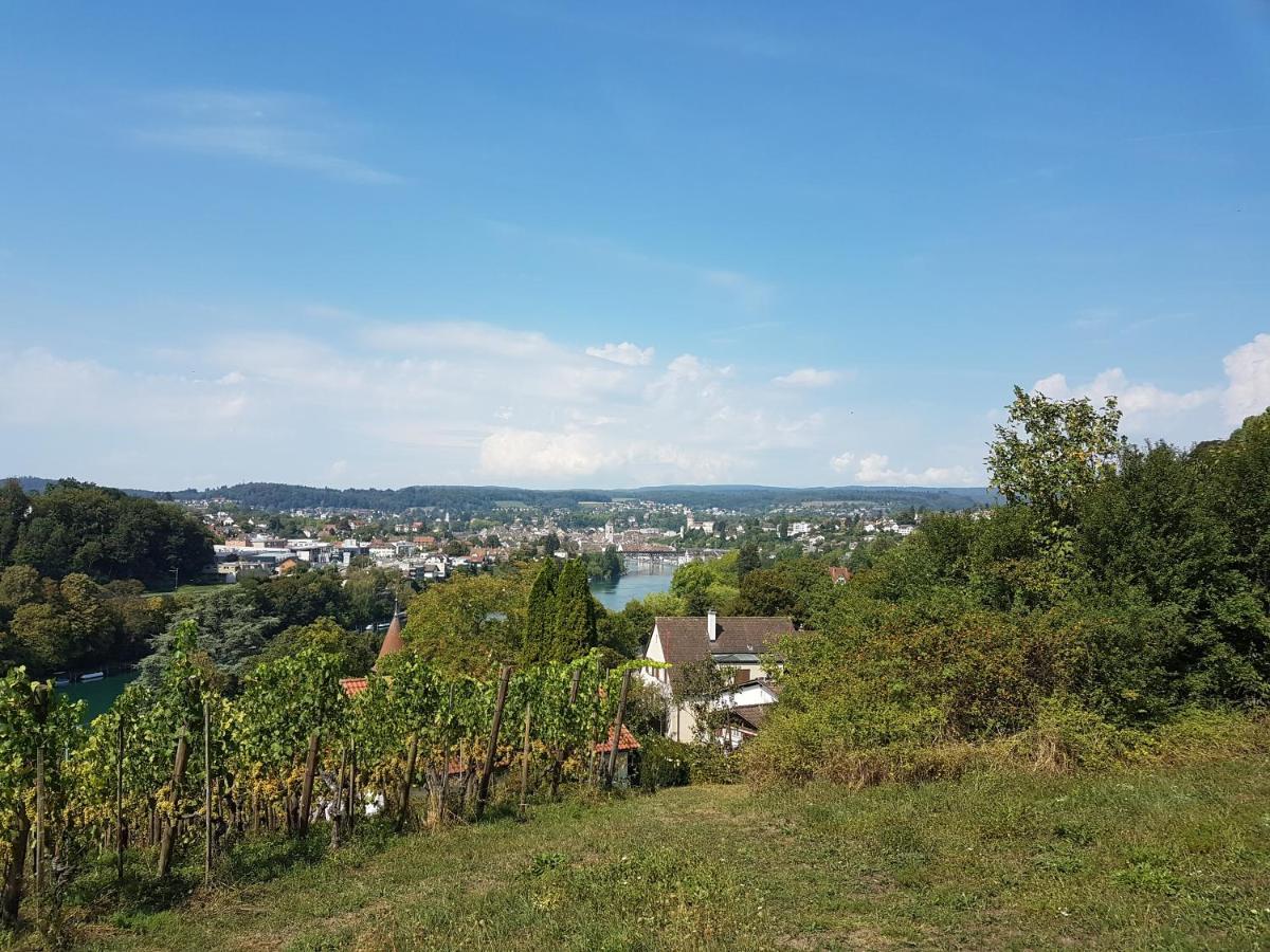 Ferienwohnung Rheinblick In Buesingen -Keine Monteure- Busingen Zewnętrze zdjęcie