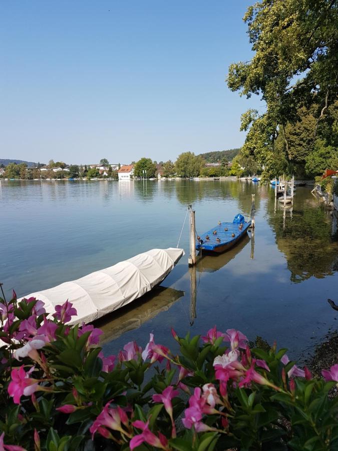 Ferienwohnung Rheinblick In Buesingen -Keine Monteure- Busingen Zewnętrze zdjęcie