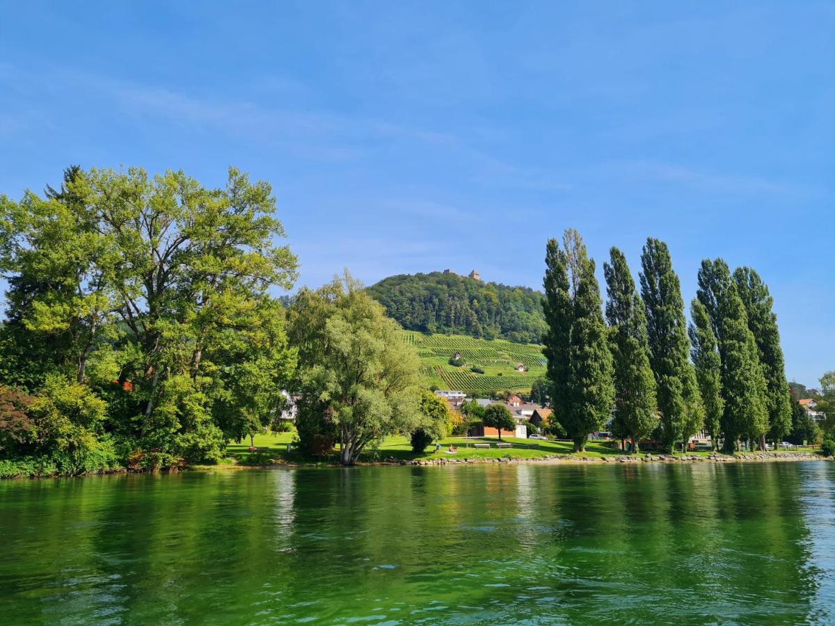 Ferienwohnung Rheinblick In Buesingen -Keine Monteure- Busingen Zewnętrze zdjęcie