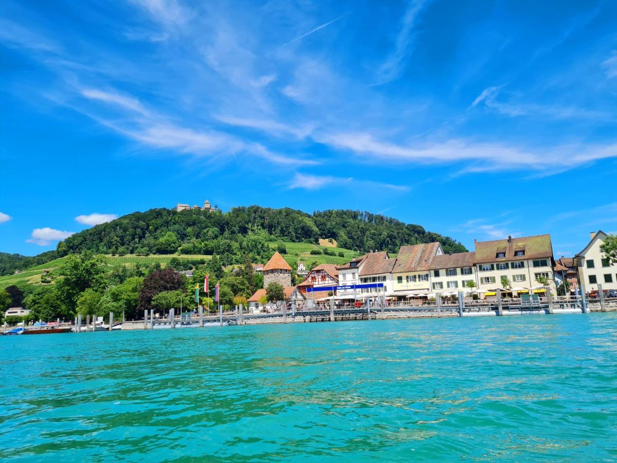 Ferienwohnung Rheinblick In Buesingen -Keine Monteure- Busingen Zewnętrze zdjęcie