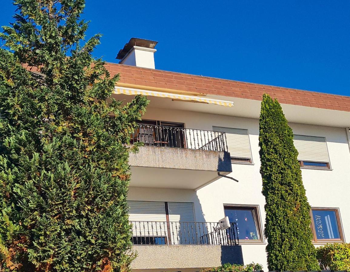 Ferienwohnung Rheinblick In Buesingen -Keine Monteure- Busingen Zewnętrze zdjęcie