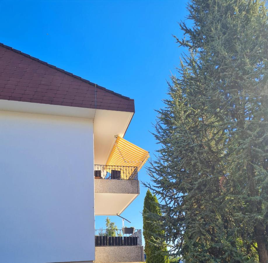 Ferienwohnung Rheinblick In Buesingen -Keine Monteure- Busingen Zewnętrze zdjęcie