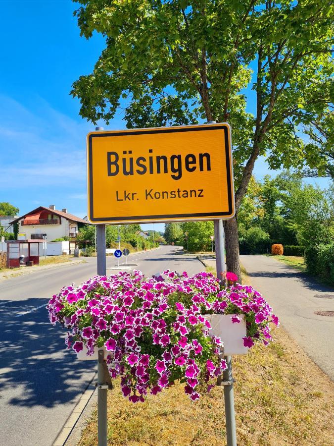 Ferienwohnung Rheinblick In Buesingen -Keine Monteure- Busingen Zewnętrze zdjęcie